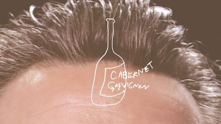 Gavin Newsom: President PlumpJack?